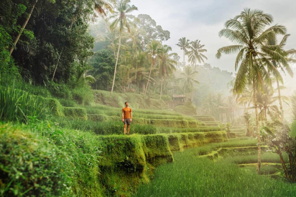 Jared Dillingham walking in the Tegalalang Rice Terraces