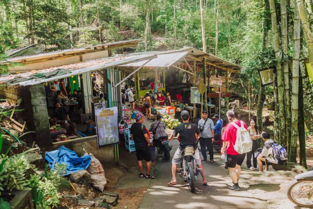 Entrance area to Tumpak Sewu waterfalls