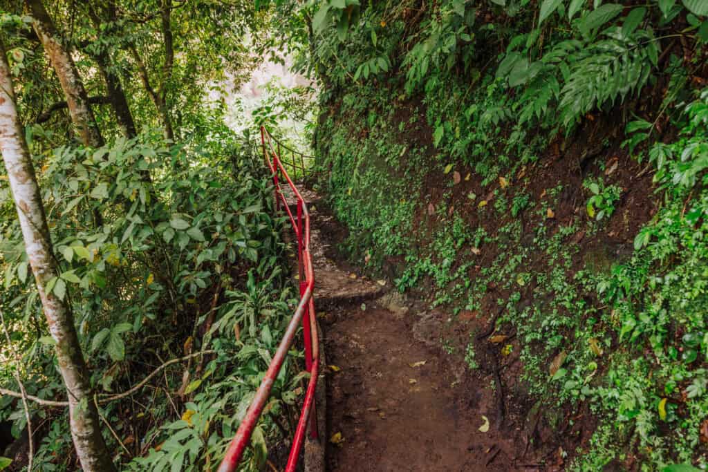 The hiking trail down to the base of the Tumpak Sewu waterfalls