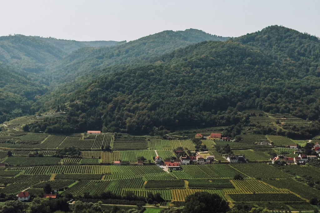 The vineyards and wineries in the Wachau Valley