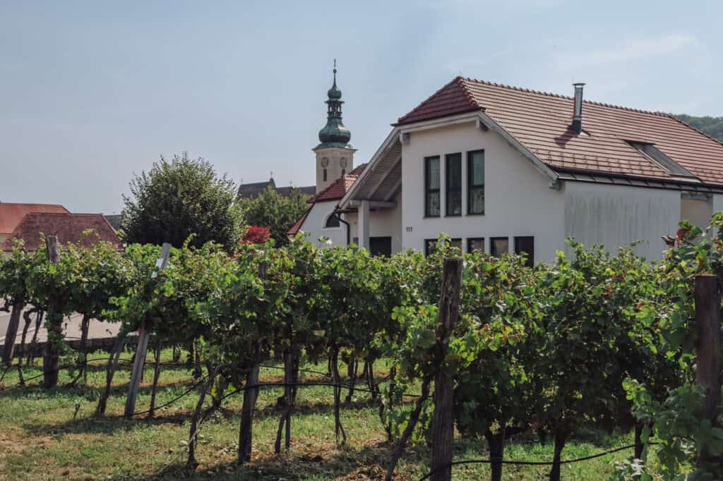 Vineyards in Durnstein in the Wachau Valley, Austria